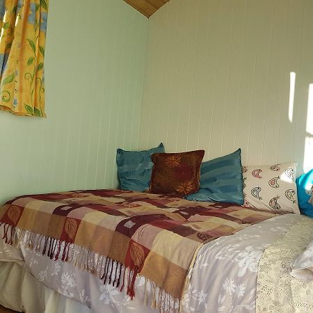 Shepherds Hut Dolly Wagon Keswick  Exterior foto