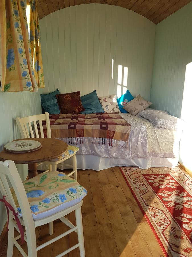 Shepherds Hut Dolly Wagon Keswick  Exterior foto
